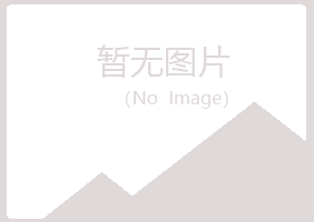 新密白山会计有限公司